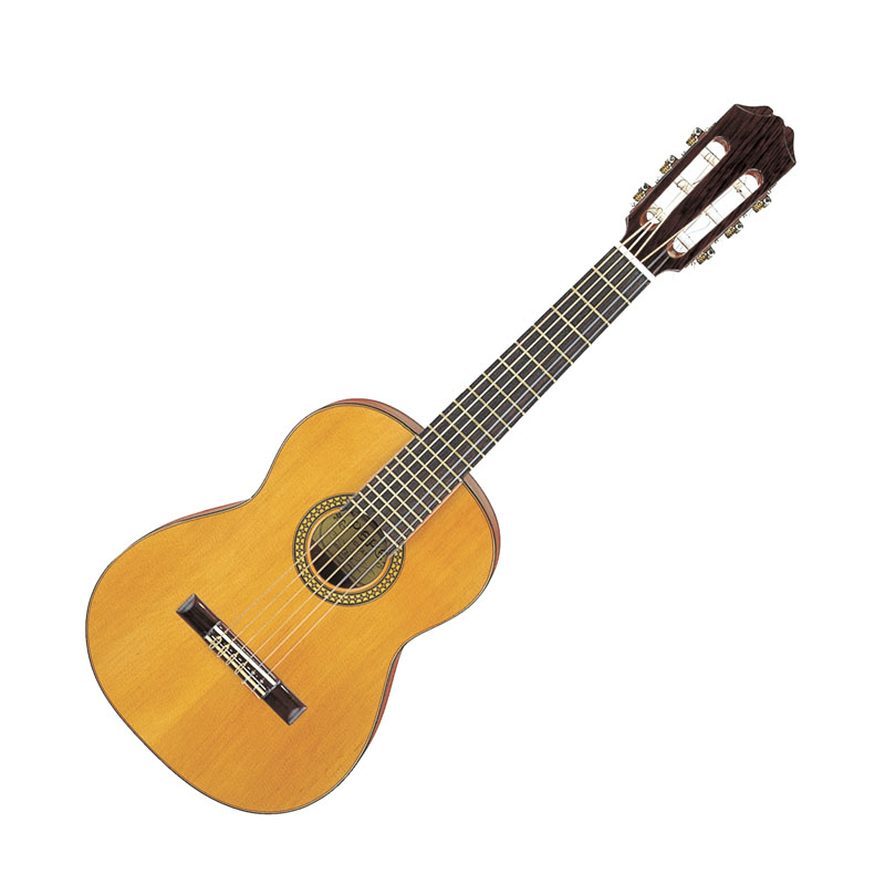 ARIA ミニギター PePe PS48